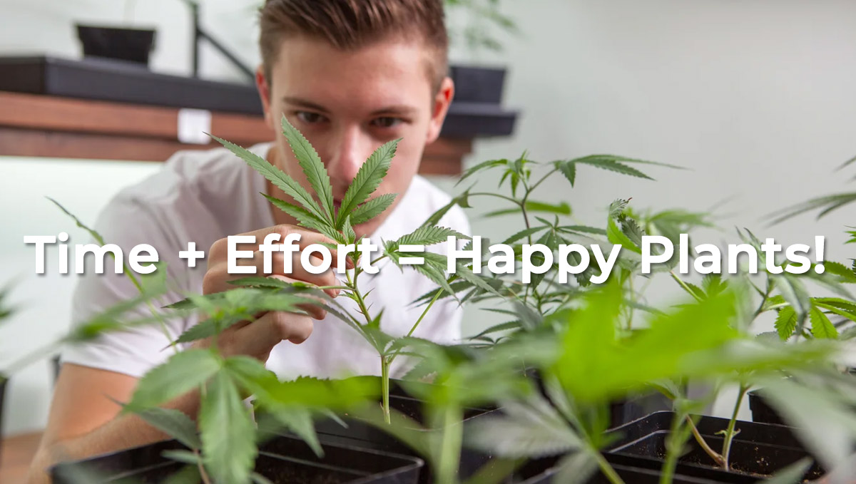 Time + Effort = Happy Plants!