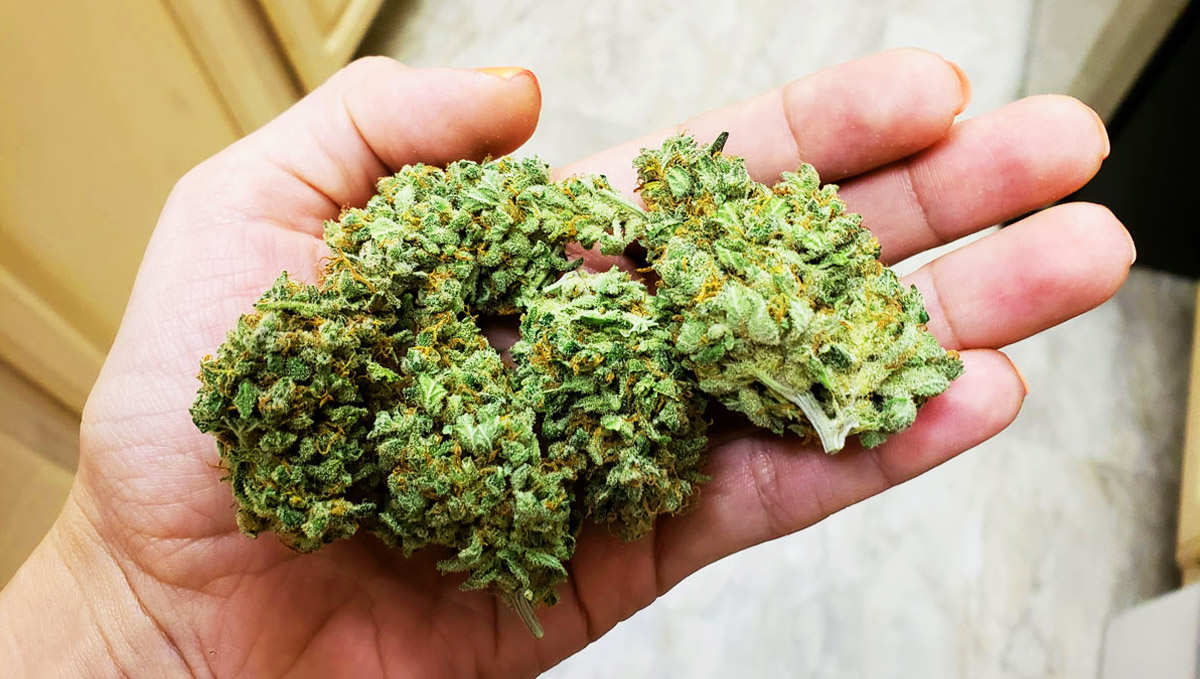 Indoor buds will result denser than outdoor's. 