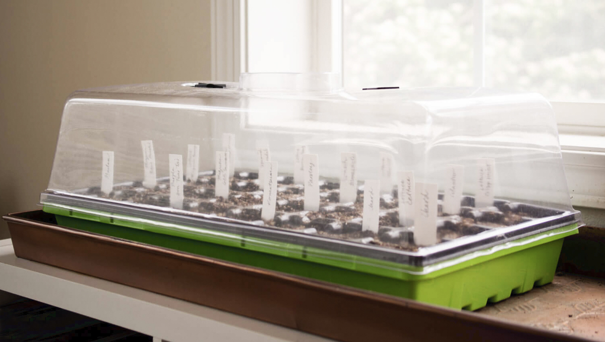 Guide germination : chambre de germination