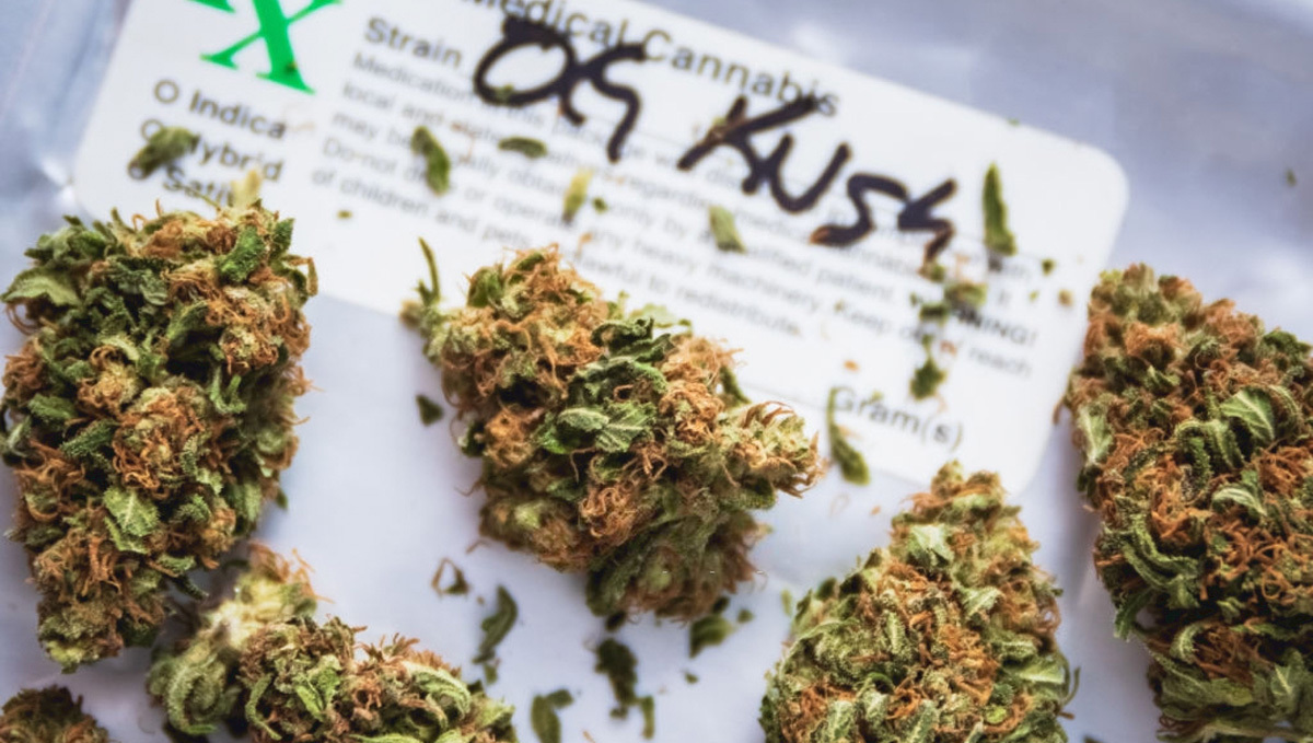 Straingeschiedenis: OG Kush Auto geoogste toppen