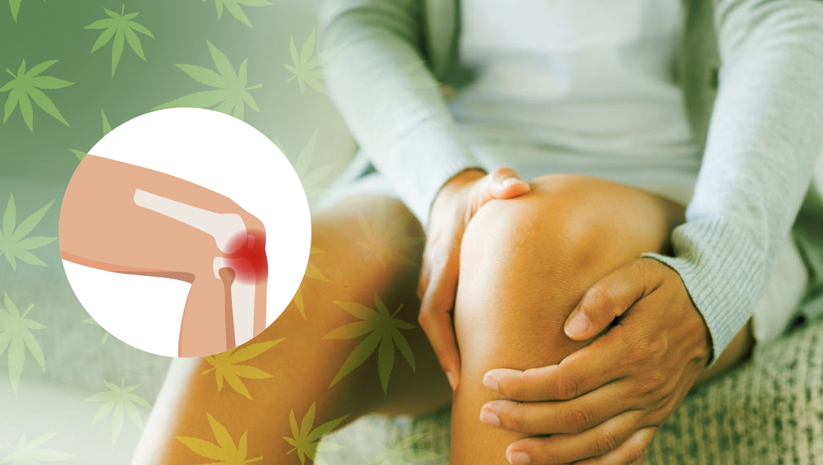 Pain relief and anti-inflammatory properties of Plants