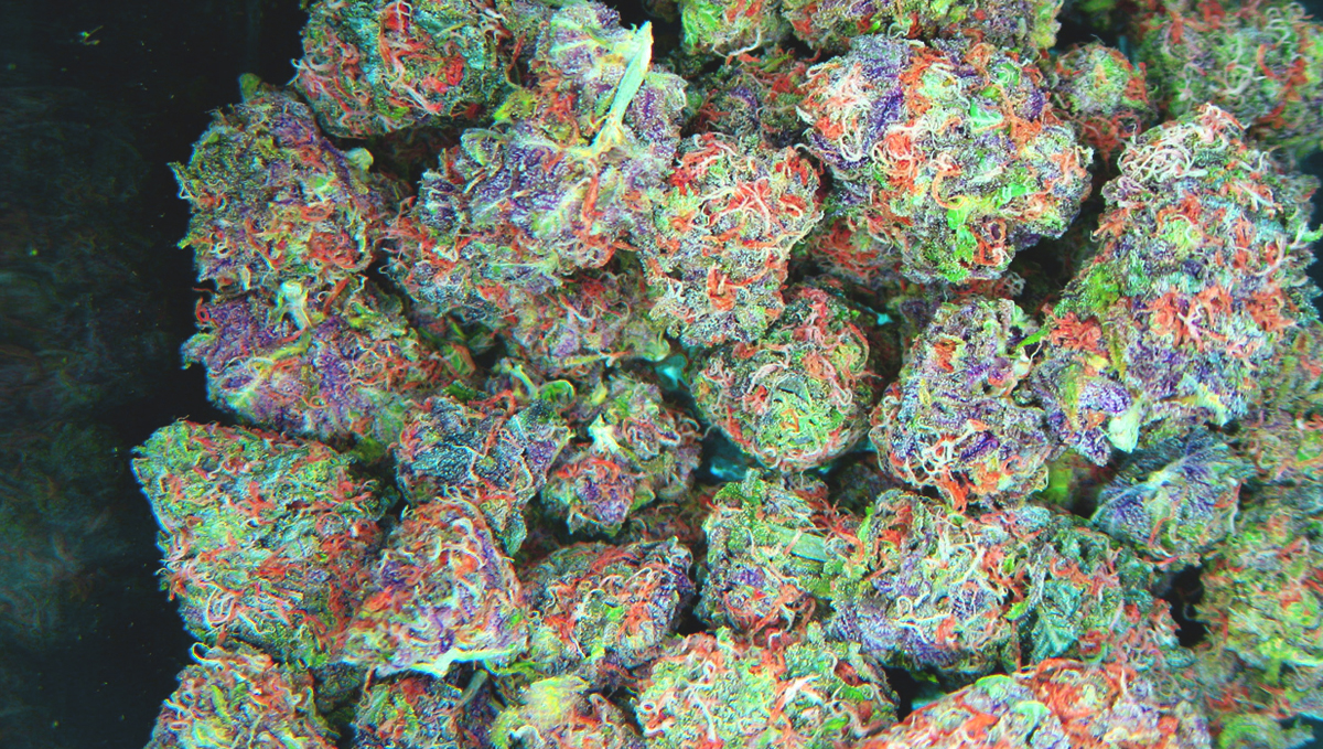Plants buds come in all shapes and colors!