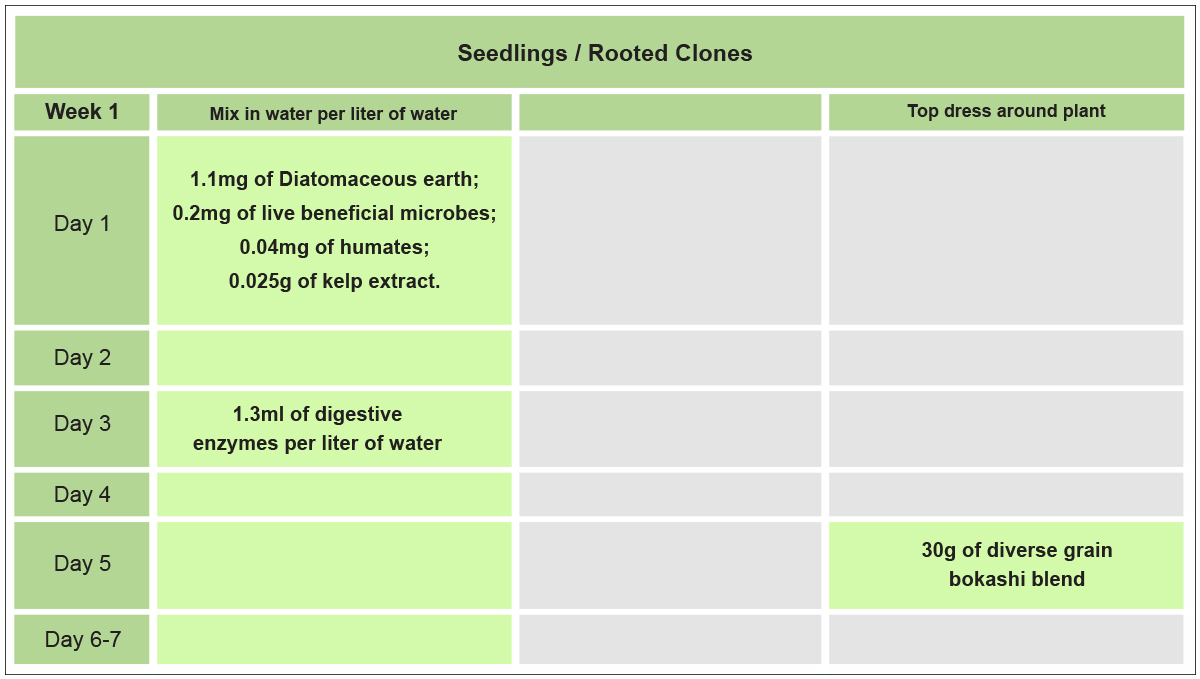 No-till plants guide: week 1