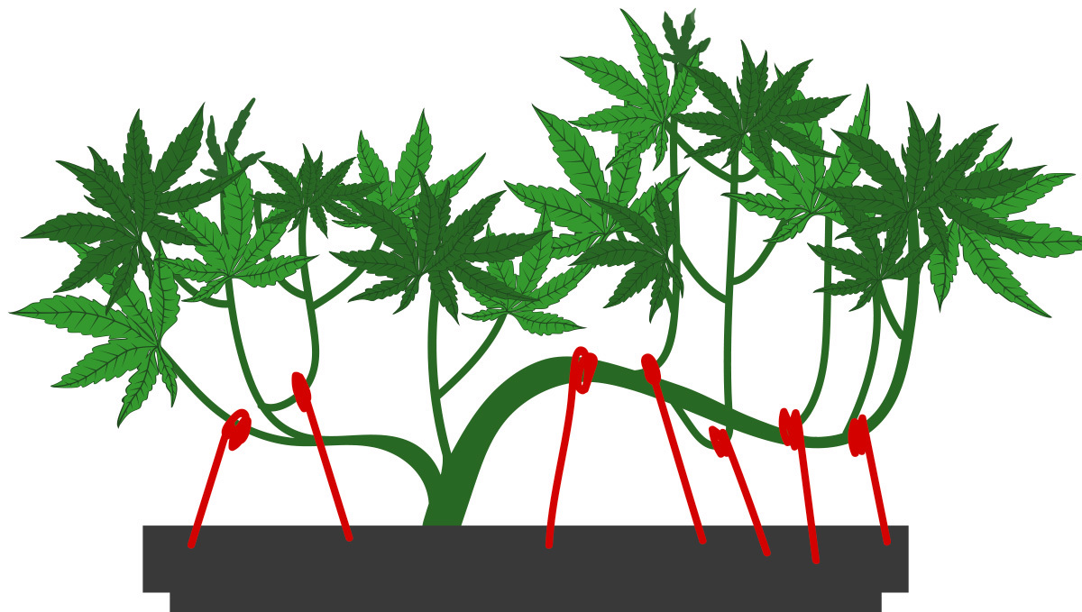 The tie-down method: step 2