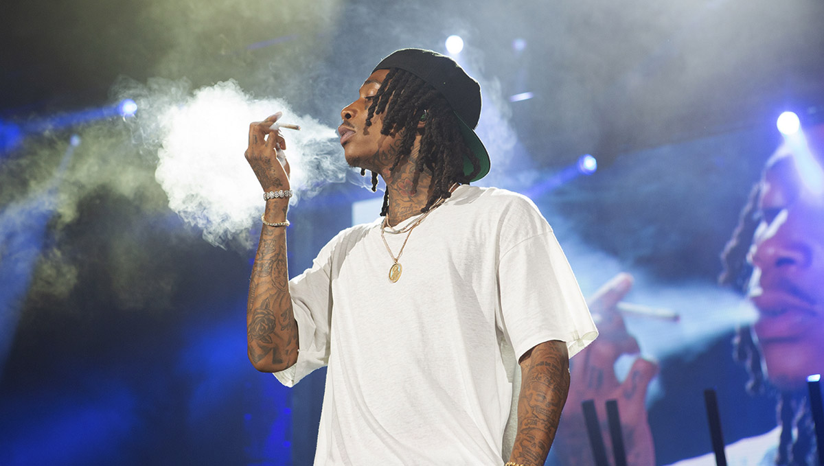 Wiz Khalifa not only raps about plants but he got into the industry as well.