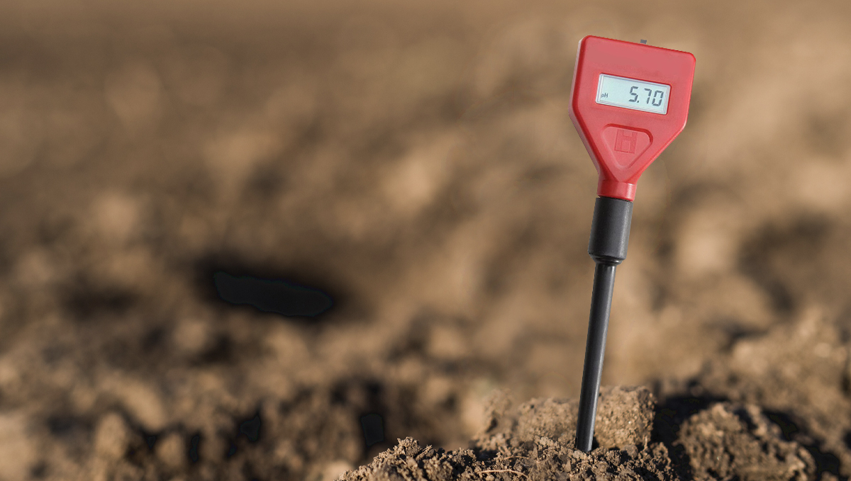 Why and how to use a pH pen: soil pH