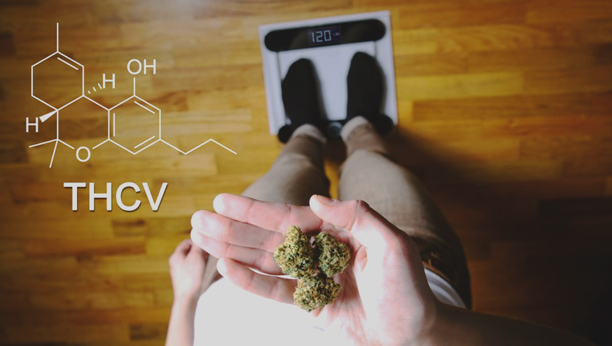 Unlike strength, strengthV could actually promote weight loss.