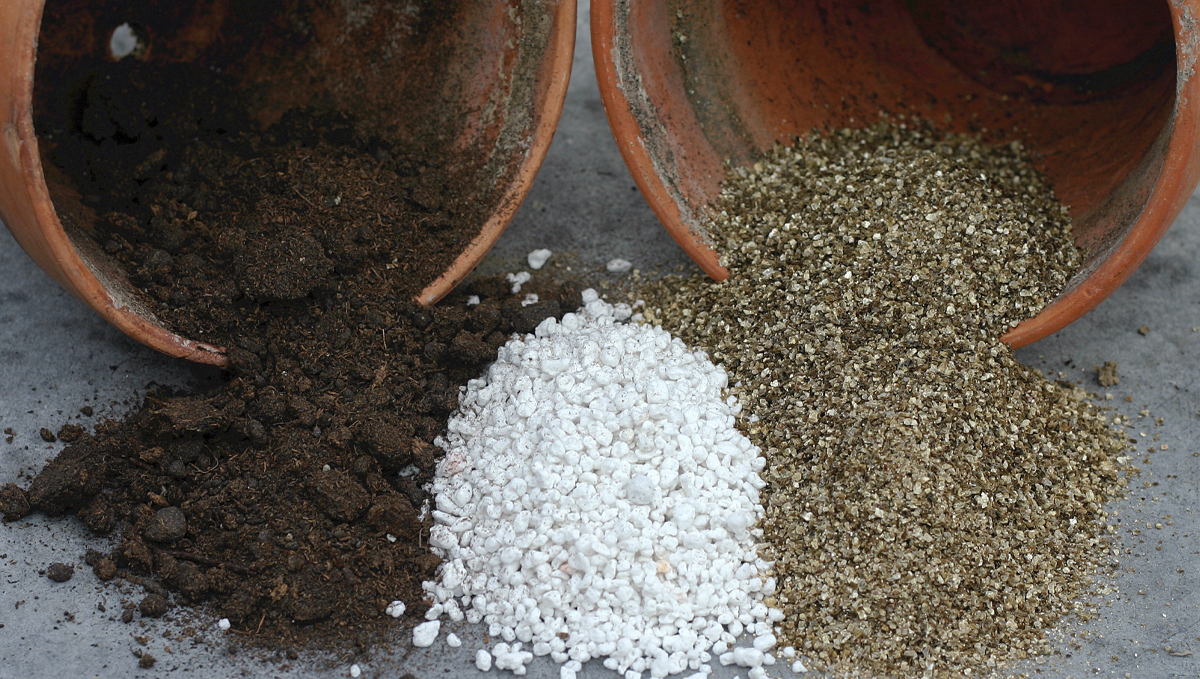 Milline muld sobib autoflowering kanepile?: substraadid