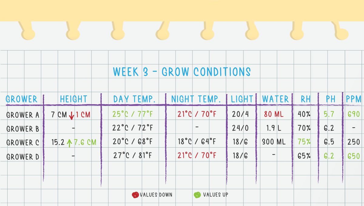 Gorilla Cookies Auto Plants Seed Week-by-Week Guide: Week 3 Grow Conditions