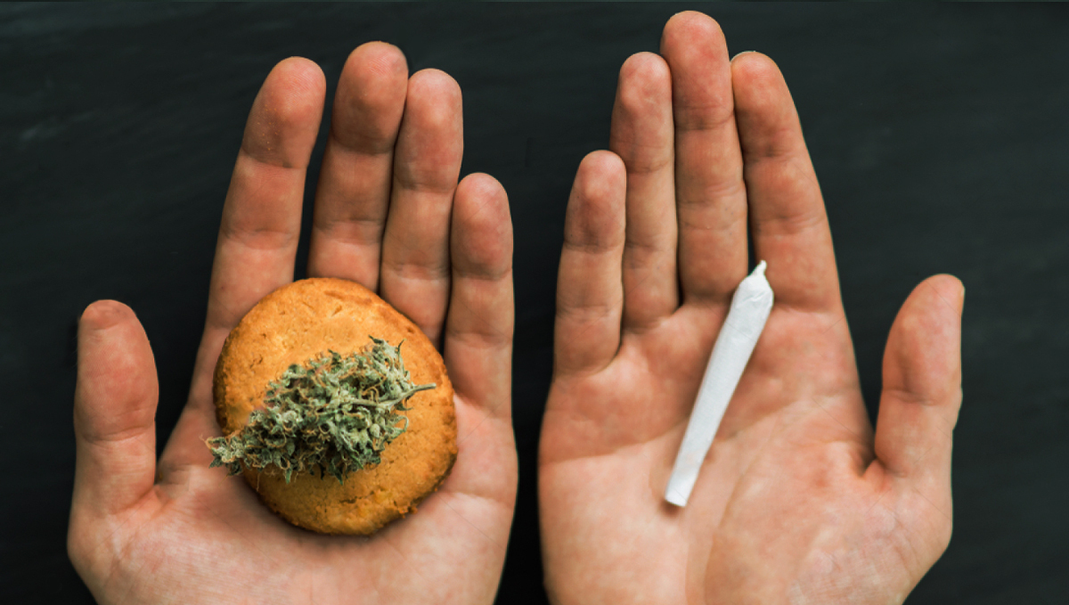 Eating Plants is Healthier Than Smoking
