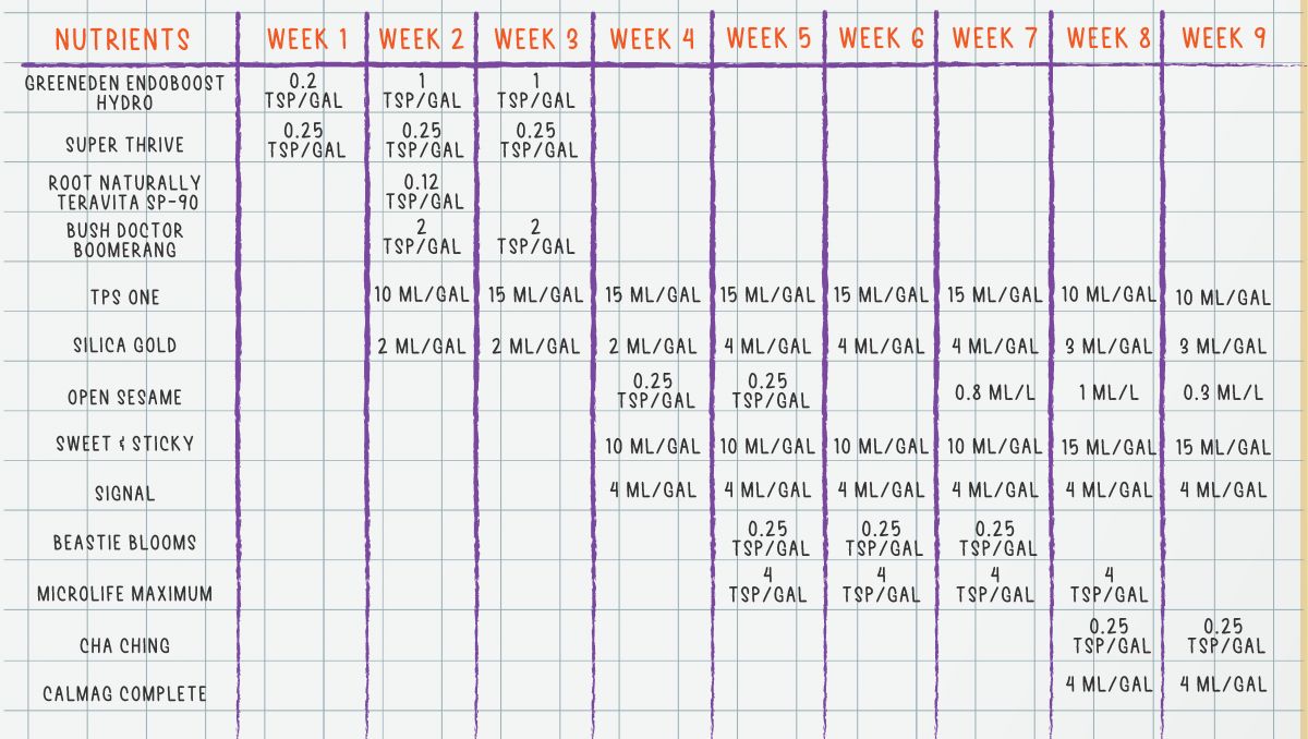 Orange Sherbet Auto Plants Seed Week-by-Week Guide: Organic feeding schedule