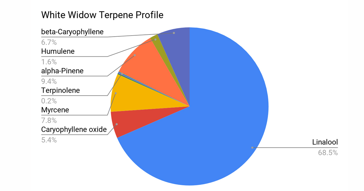 White Widow Auto guide: terpene profile