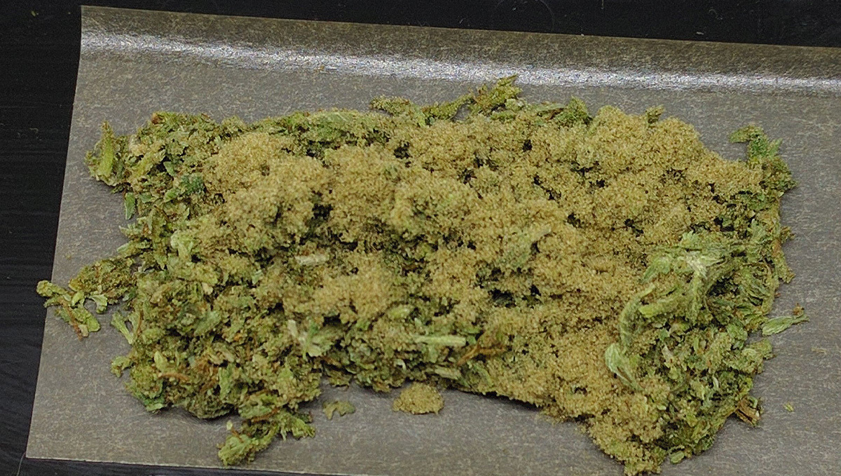 O que é Kief e melhores formas de usá-lo: Kief no baseado O que é Kief e melhores formas de usá-lo: Kief no baseado