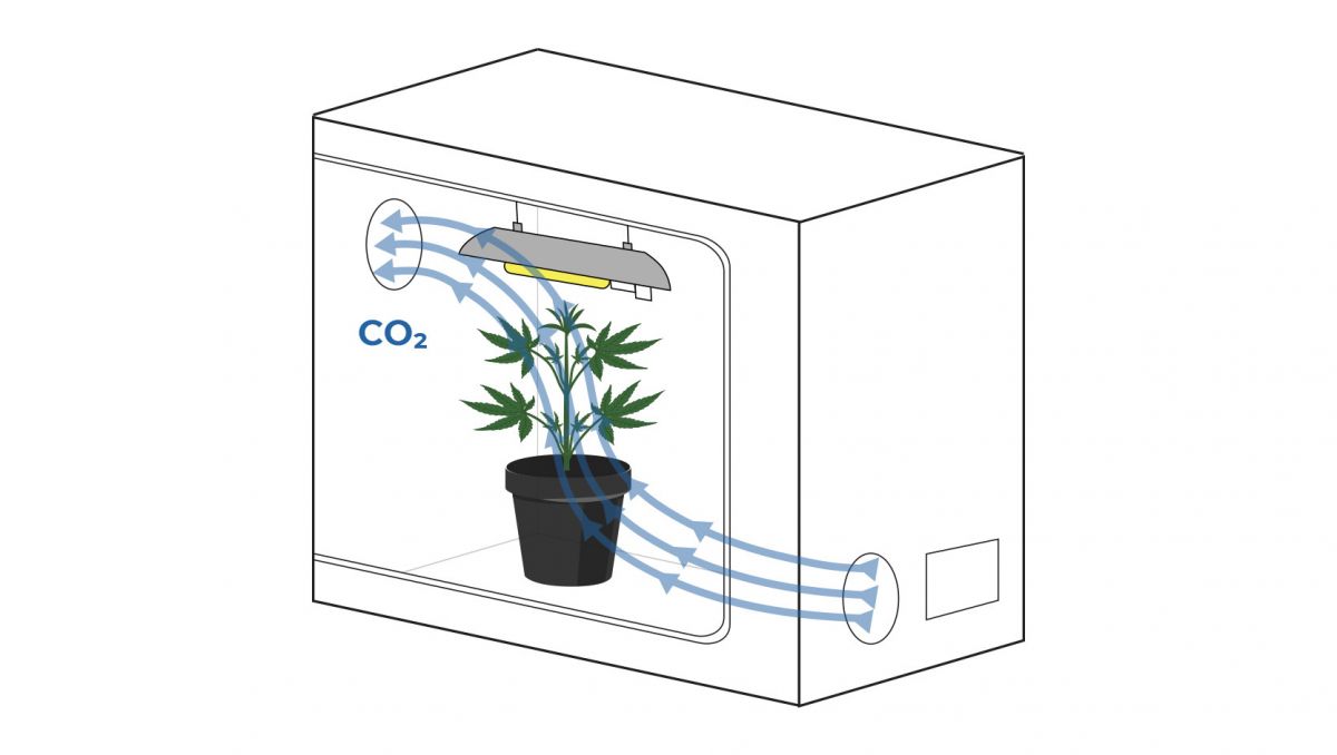 Diy grow room: ventilation