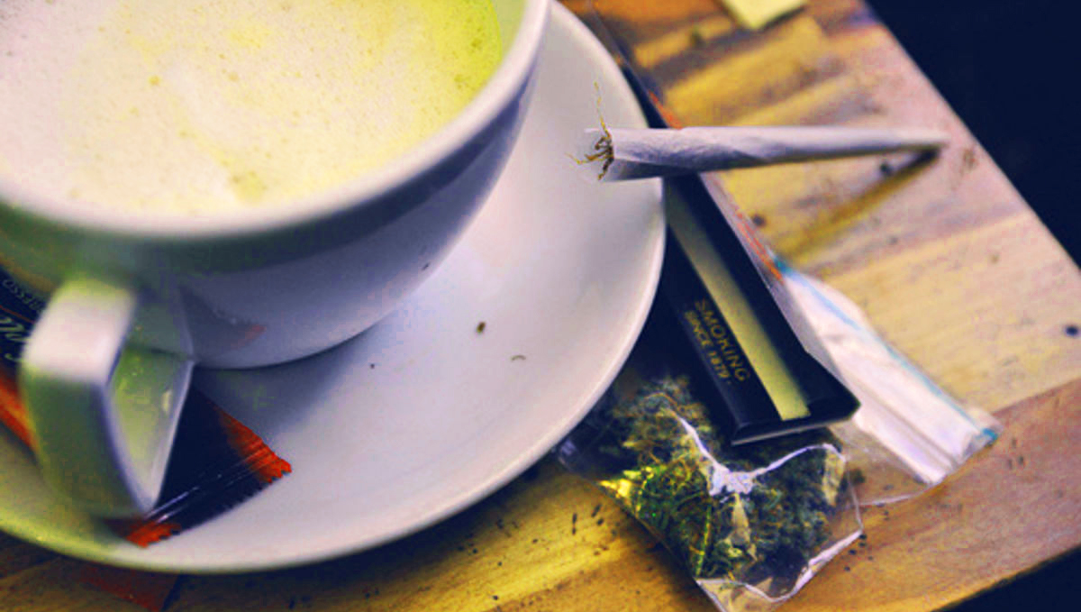 Stimulants could be the cause for your plants shakes.