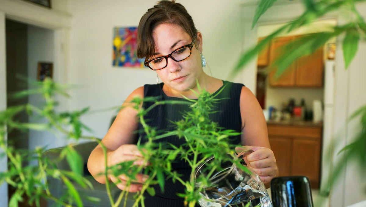 Start growing plants in quarantine!