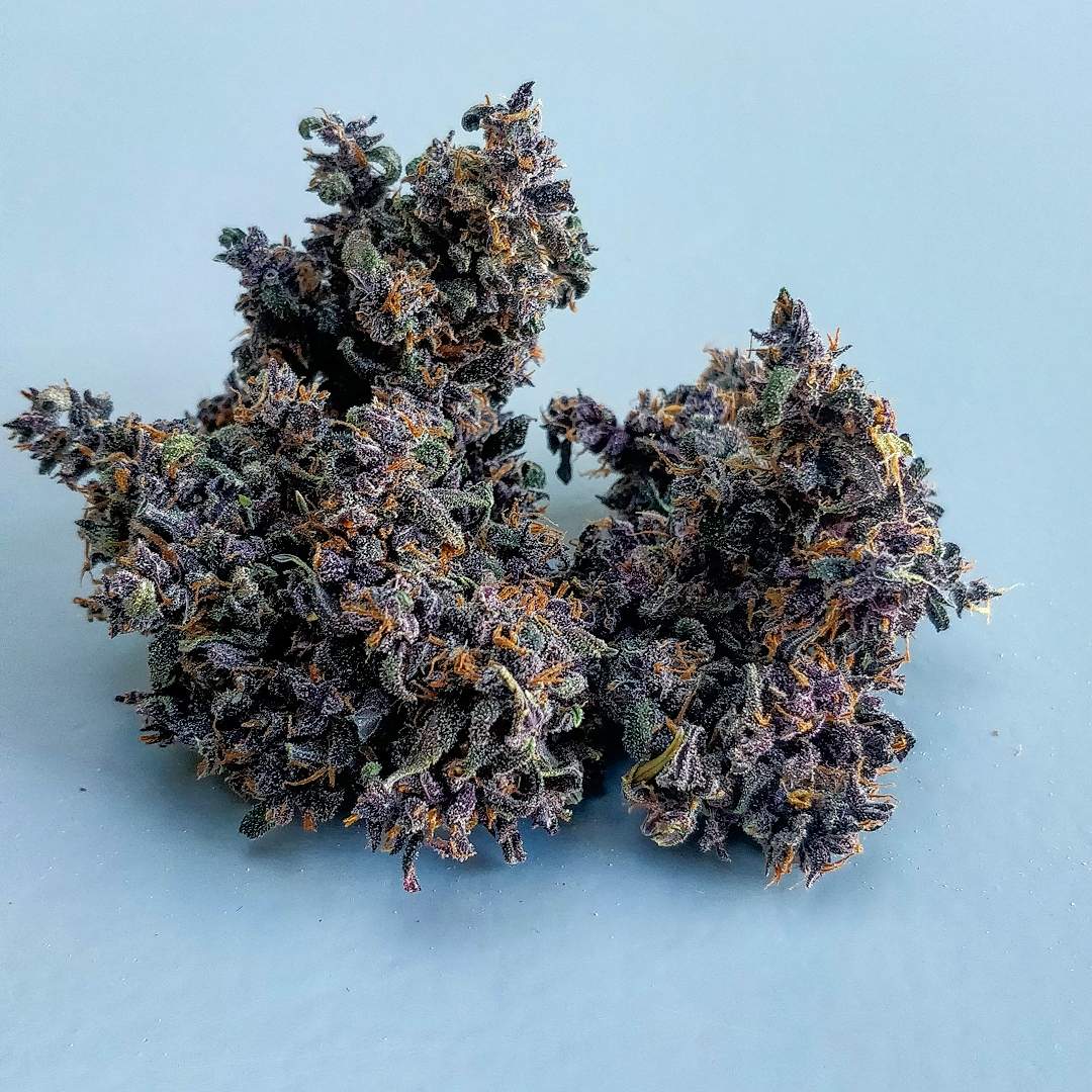 Fastbuds Blackberry by Dahoola
