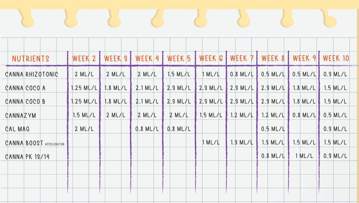 Orange Sherbet Auto Plants Seed Week-by-Week Guide: CANNA nutrients feeding schedule 