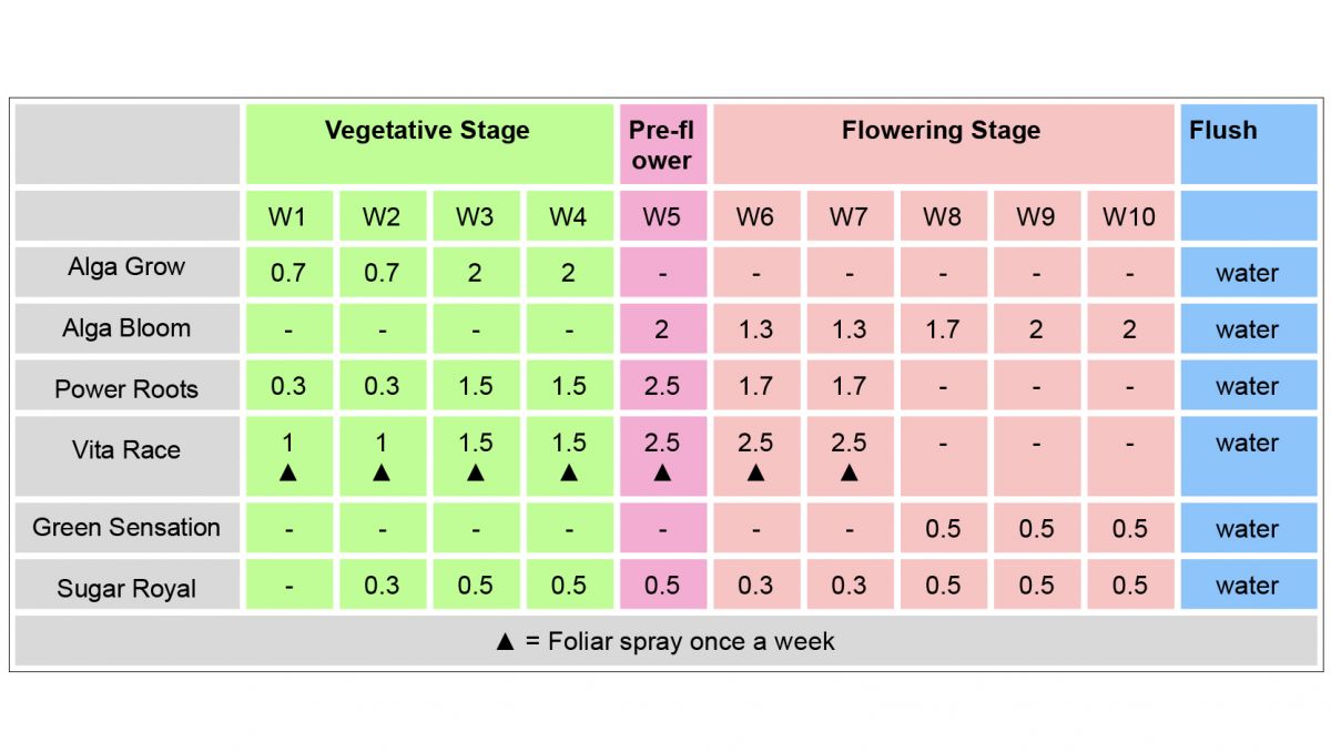 Plagron usage guide: organic fertilizers for autoflowers 