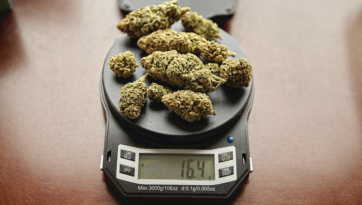 How much do autoflowers yield: meaning