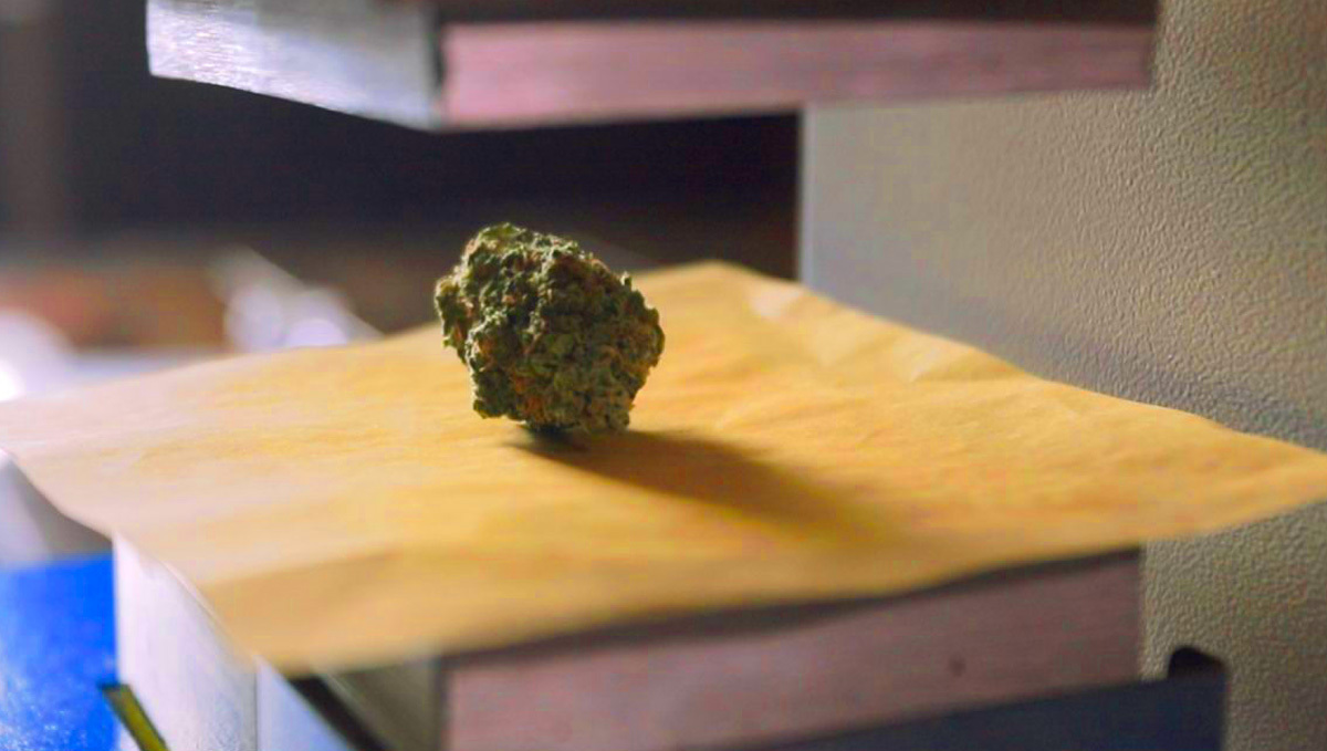Plants Concentrates: Rosin press