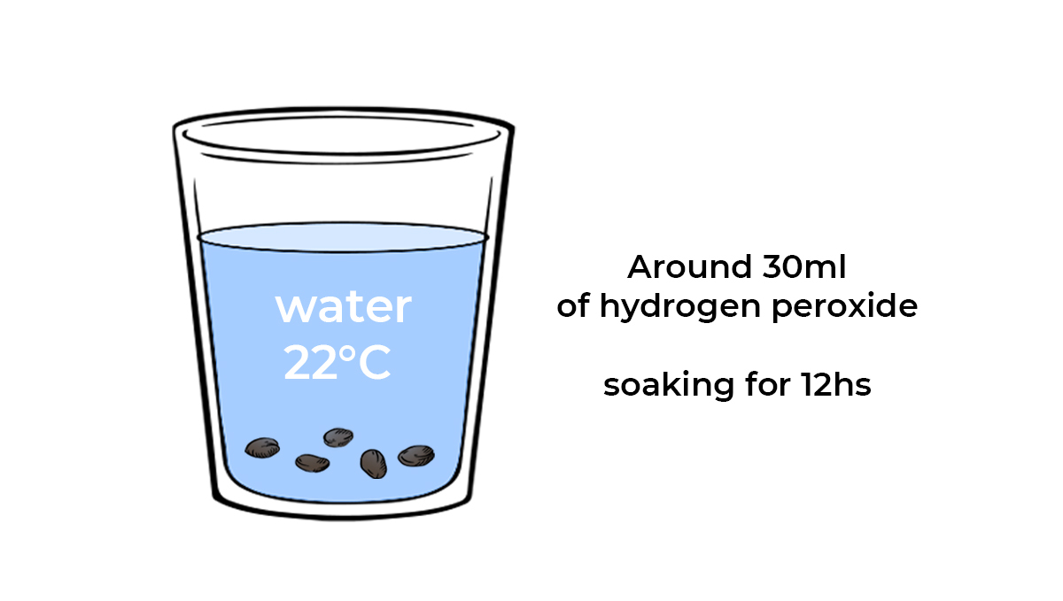 Keimungsanleitung: Angereichertes Wasser