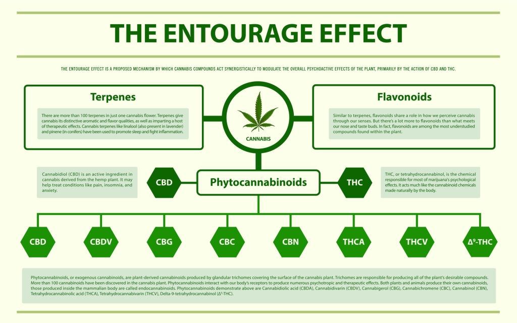 Çfarë është Efekti Entourage?: infografik