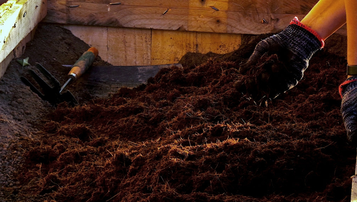 Composting: how to use compost