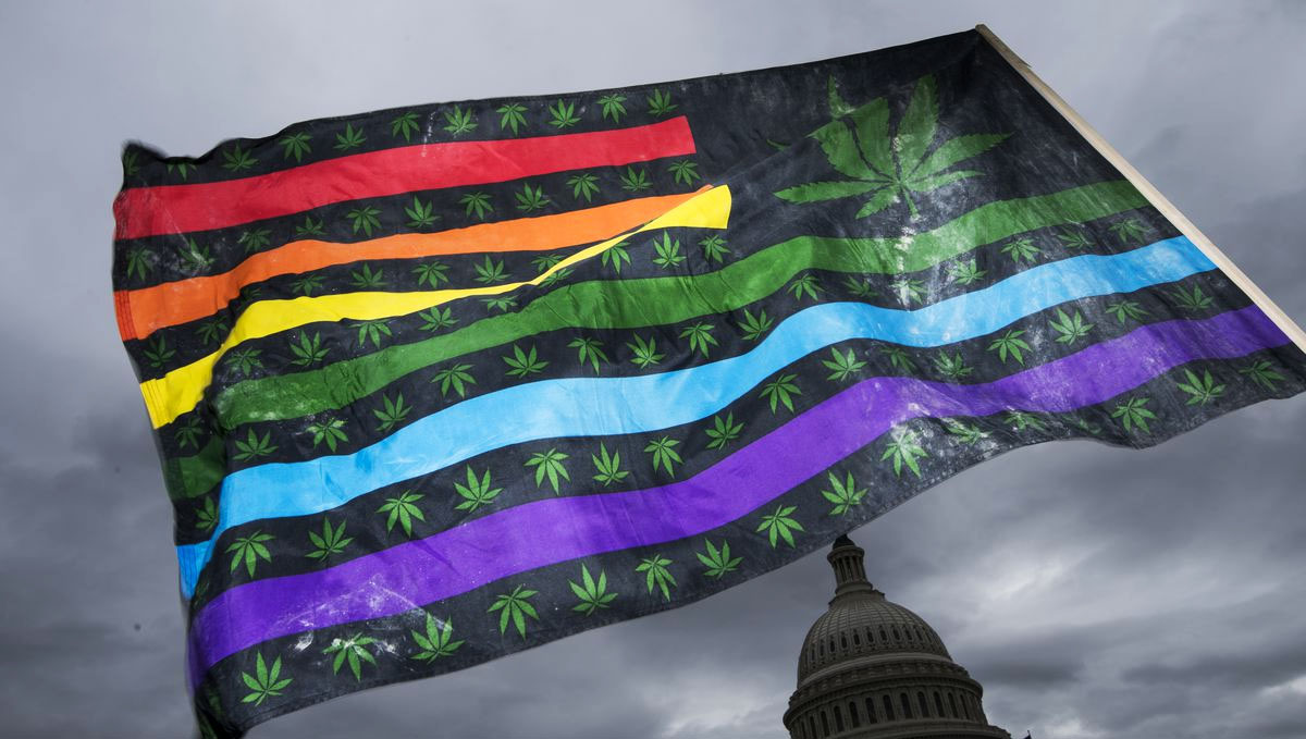 Plants Related Stomach Disorder On The Rise: Reports of vomiting went up in the U.S. post the legalization of plants.
