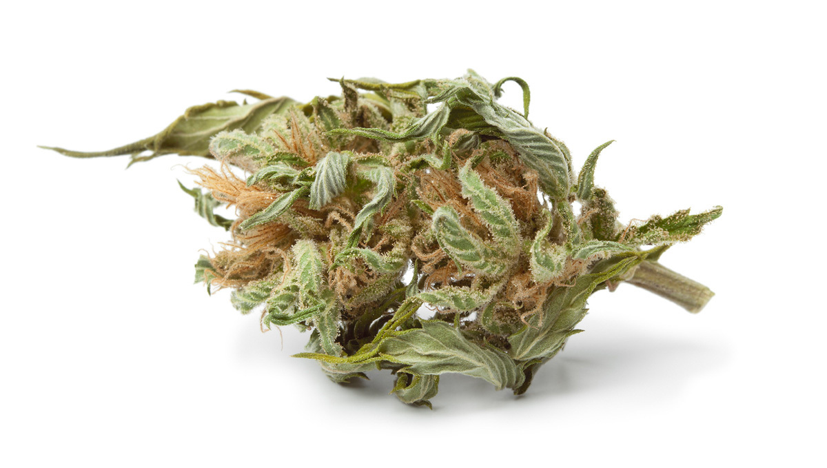 What are Popcorn Buds and How to Avoid Them: Popcorn Cannabis Bud