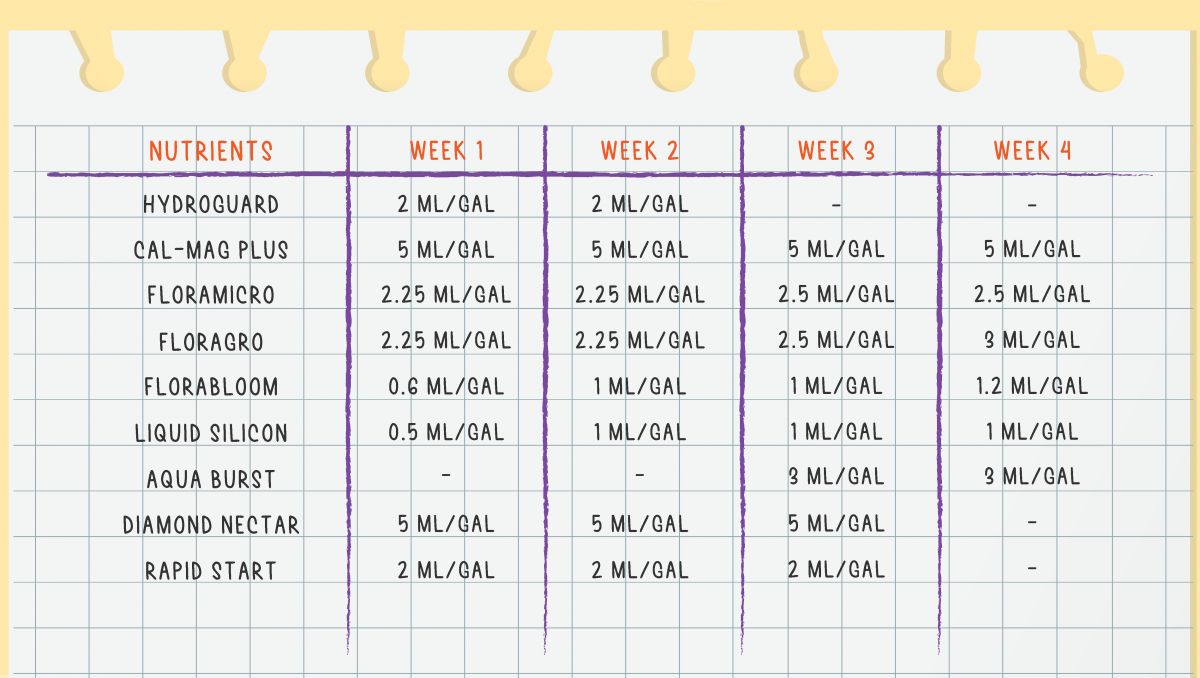 Gorilla Cookies Auto Plants Seed Week-by-Week Guide: Feeding chart
