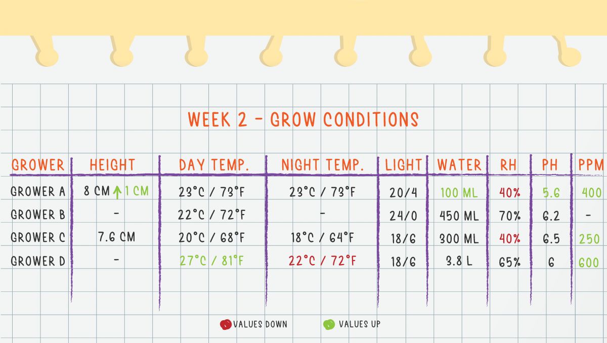 Gorilla Cookies Auto Plants Seed Week-by-Week Guide: Week 2 Grow Conditions