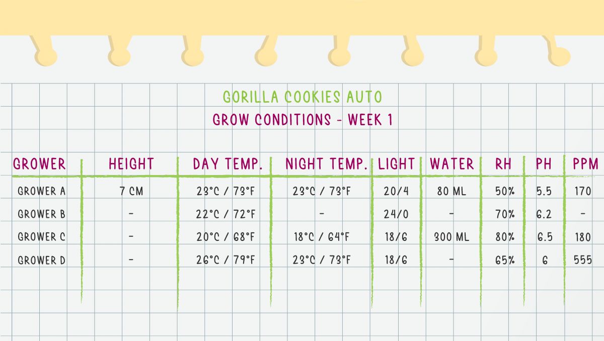Gorilla Cookies Auto Plants Seed Week-by-Week Guide: Week 1 Grow Conditions
