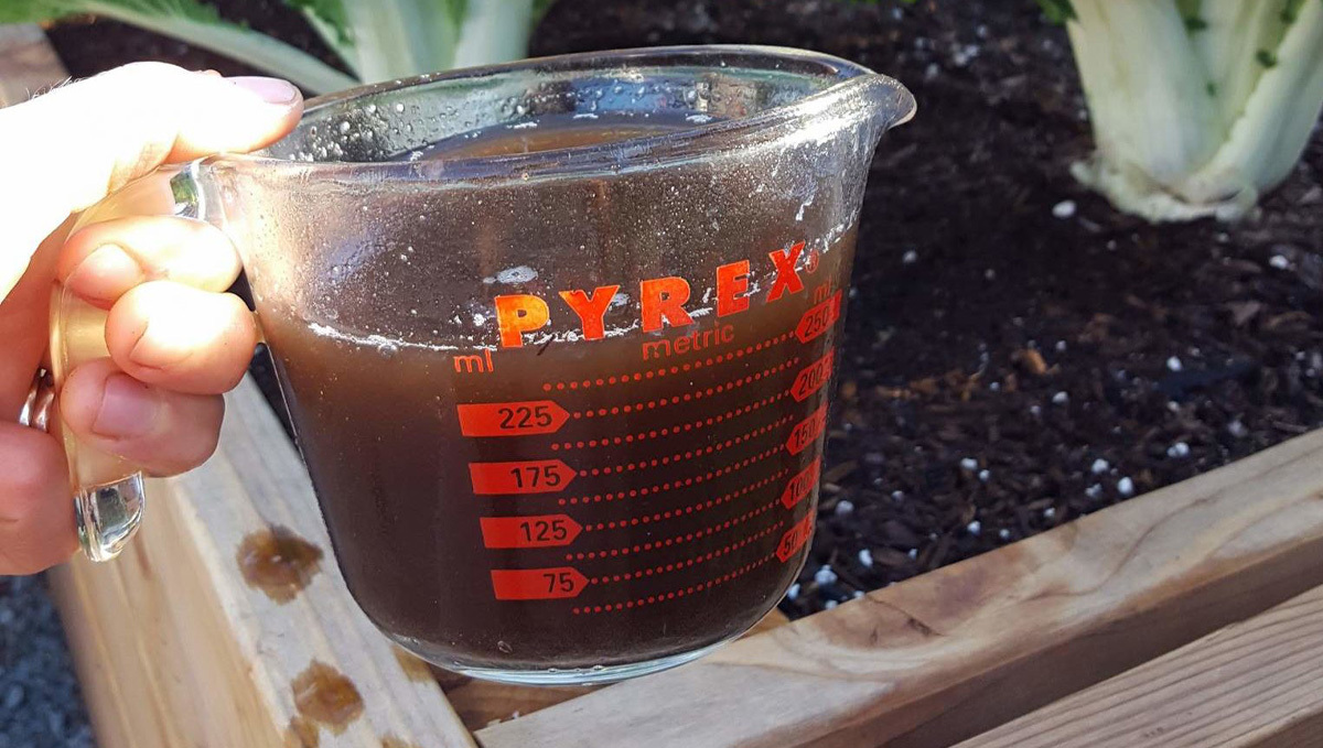 Organic teas for plants: benefits