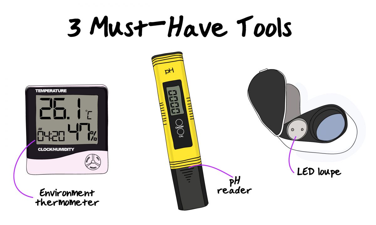 3 must-have tools