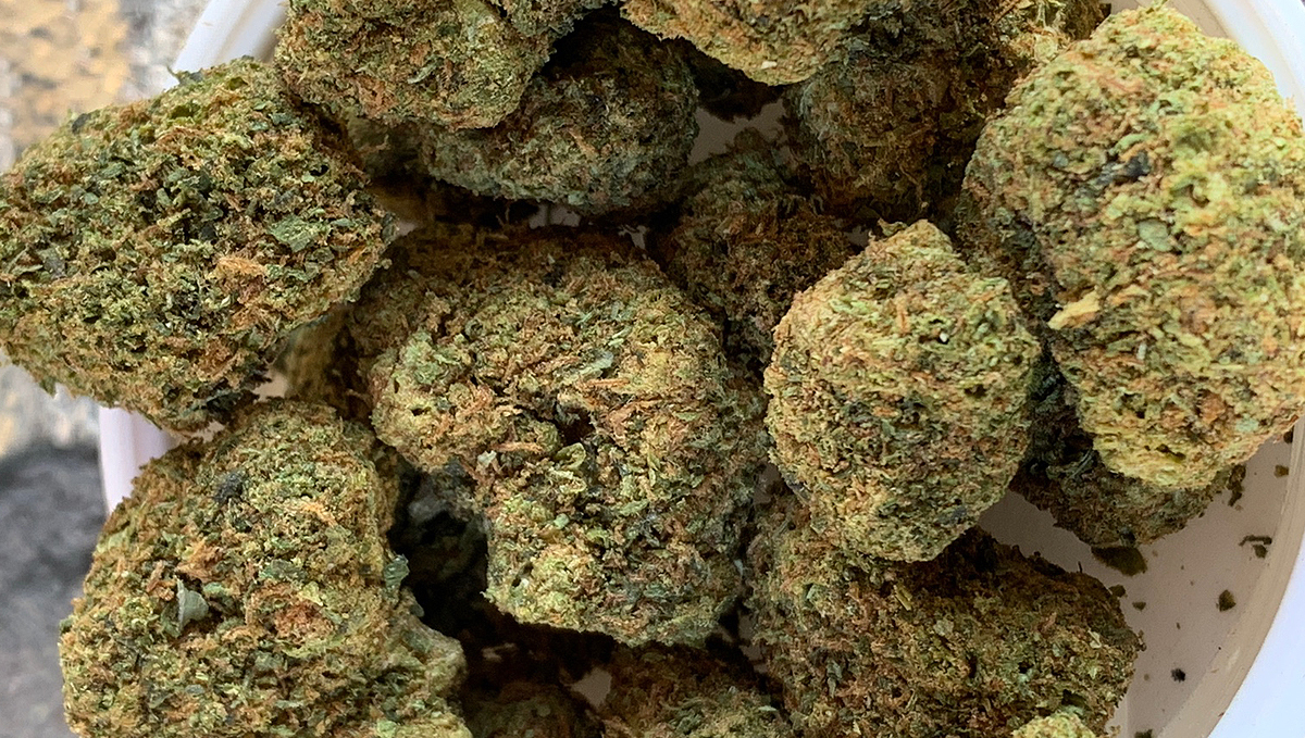 PGR Weed &ndash; What Is Plant Growth Regulators and How to Spot it: A handful of greenish tight PGR buds