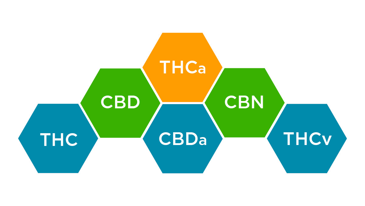 What is THC?: What are Cannabinoids