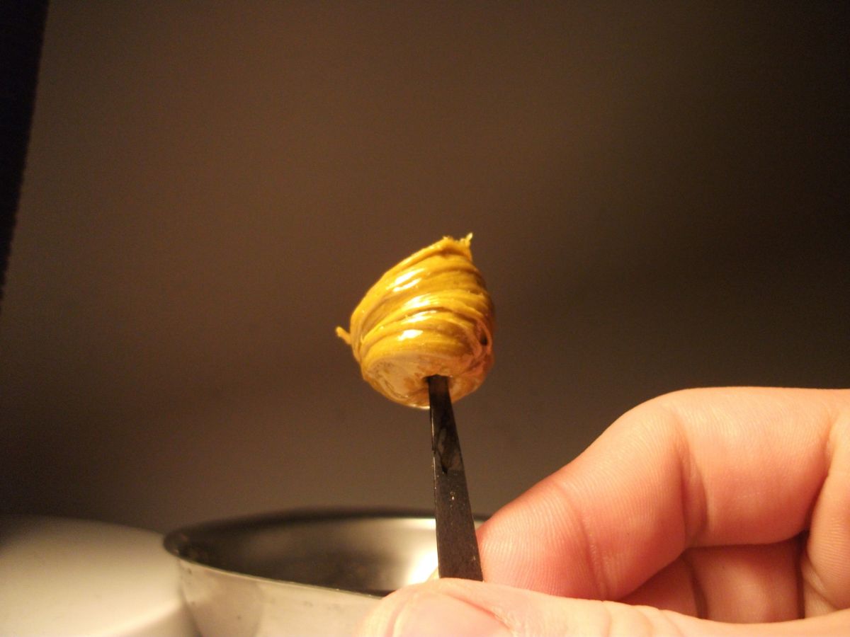 Buds Vs concentrates &ndash; What should medical plants users use?: Plants Butane Honey Oil