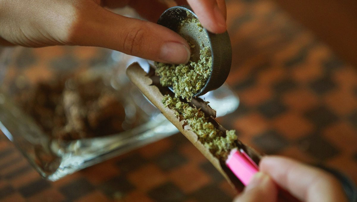 A person's hands as he or she fills a blunt's wrapper with ground marijuana
