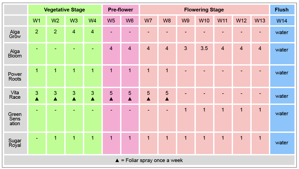 Plagron usage guide: organic fertilizers for photos 