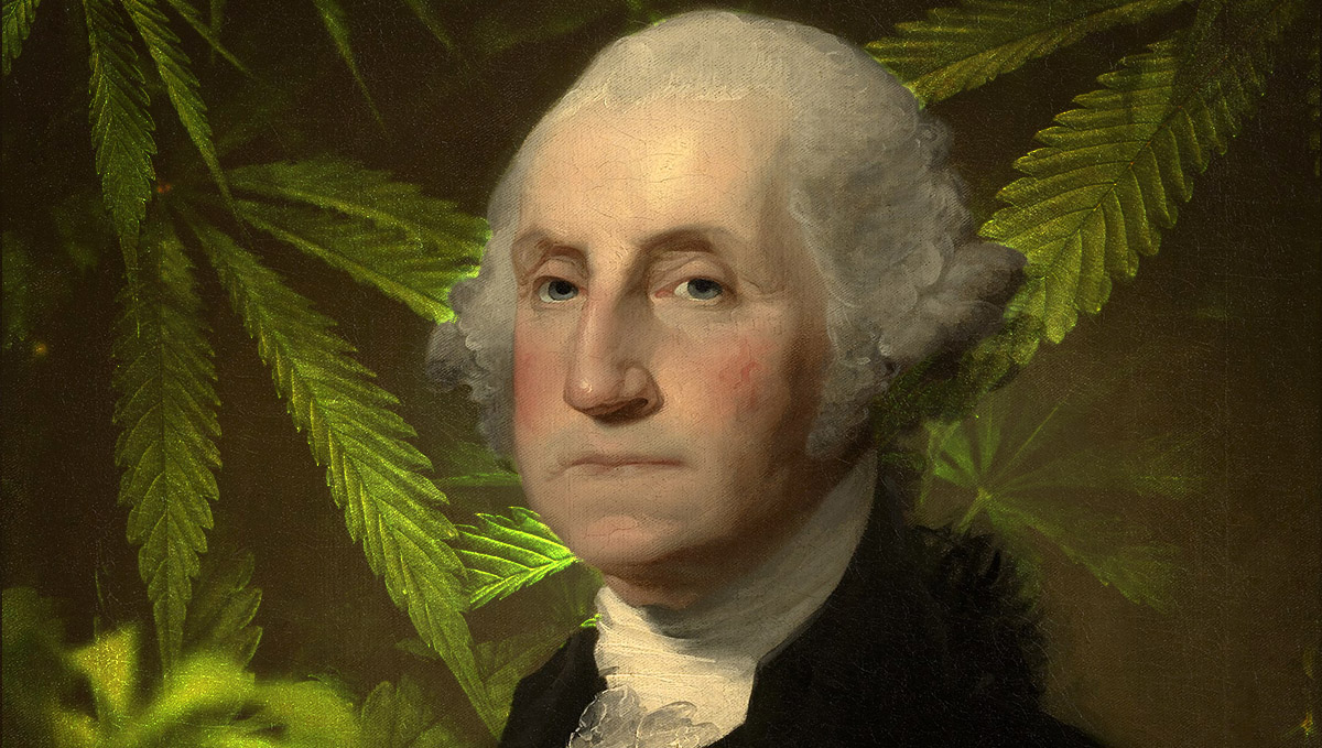 Evidence of plants use has been found in G. Washington's journals.