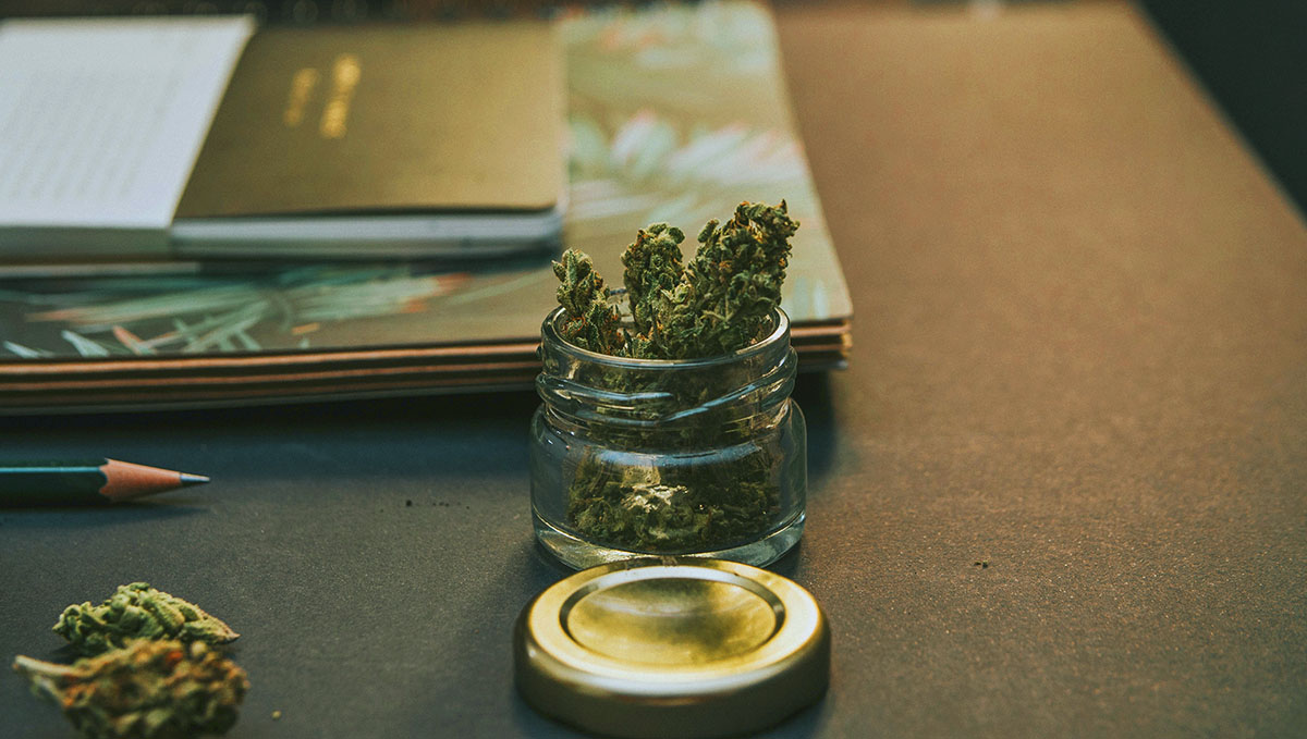 Plants: From Bud Tender to Master Grower: Accountants, lawyers and marketing directors are also needed!