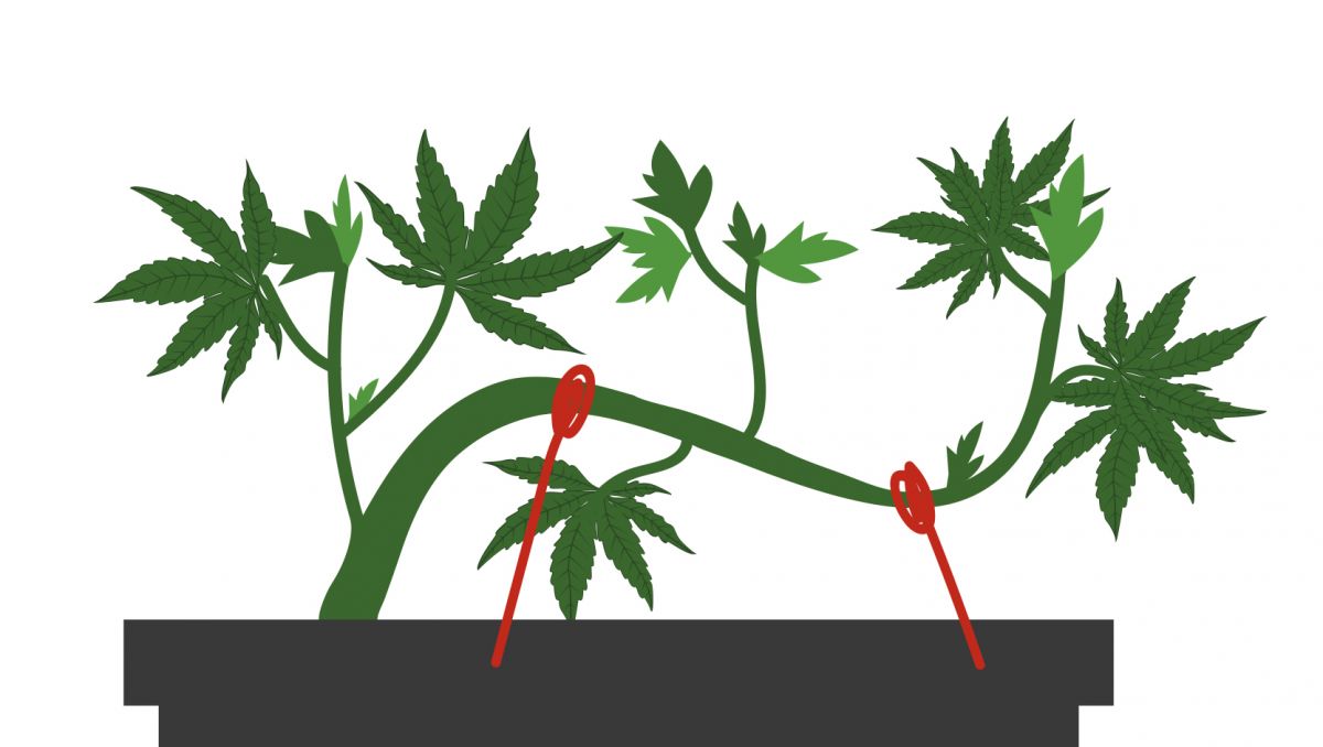 The tie-down method: step 1