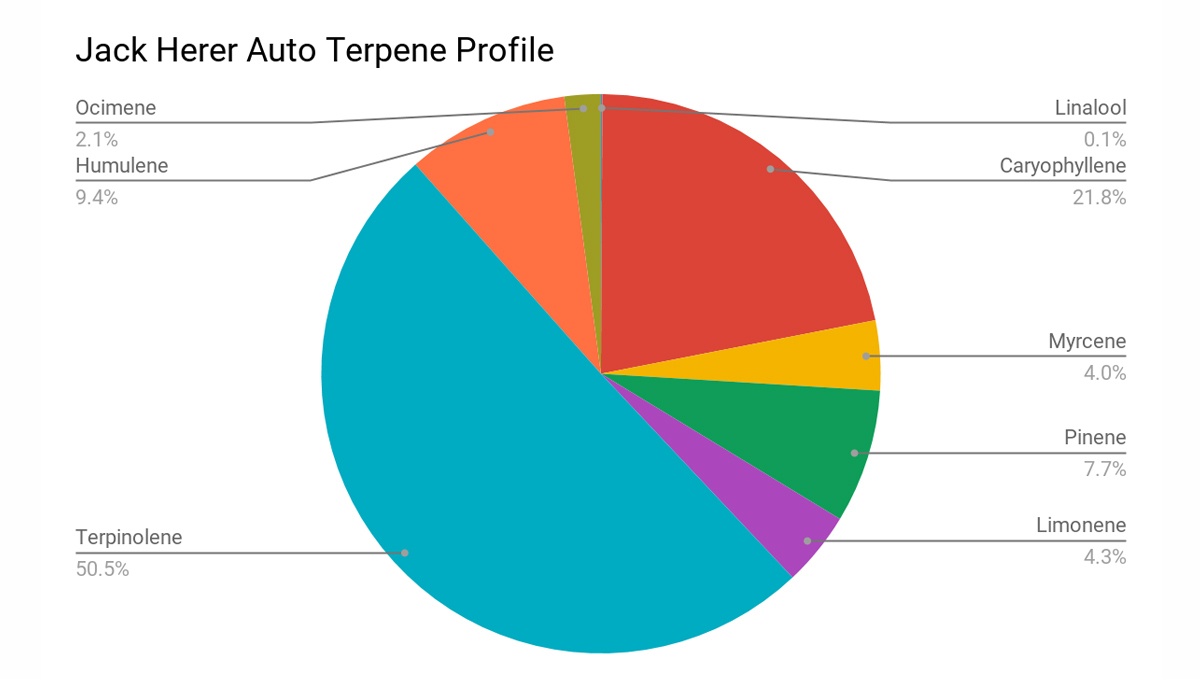 Jack Herer Auto: terpene profile