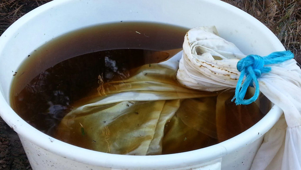 Organic teas for plants: simple recipe