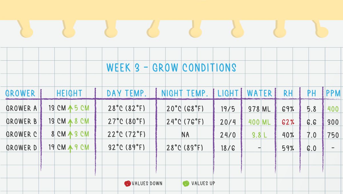 Grow Conditions Week 3