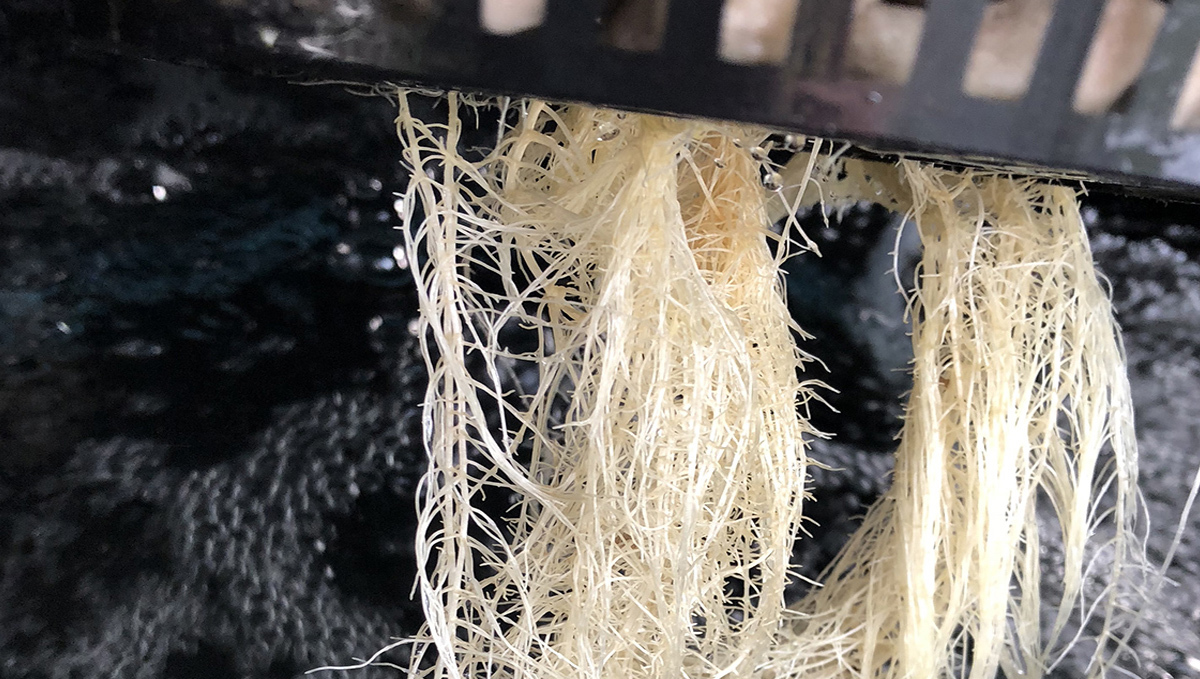 Indoor growing emergencies: oxygenation