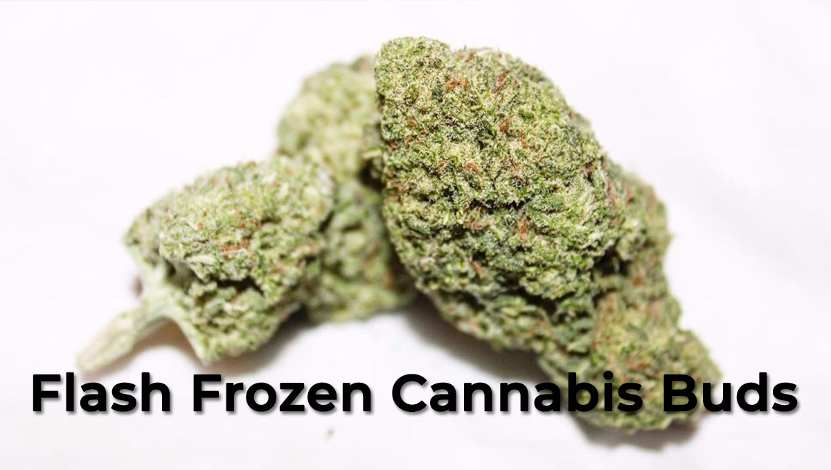Flash frozen plants buds