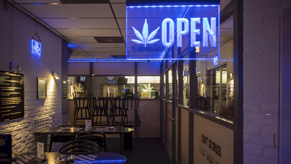 Plants: From Bud Tender to Master Grower: Check out the different plants retail positions.