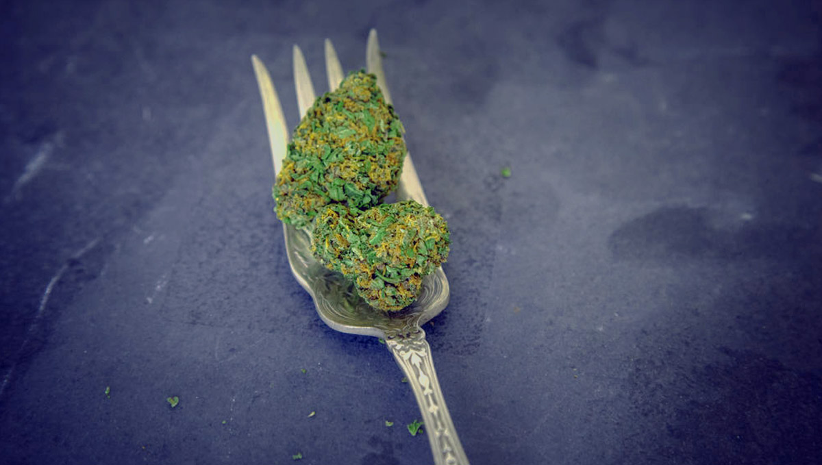 Eat raw plants and enjoy it's health benefits!